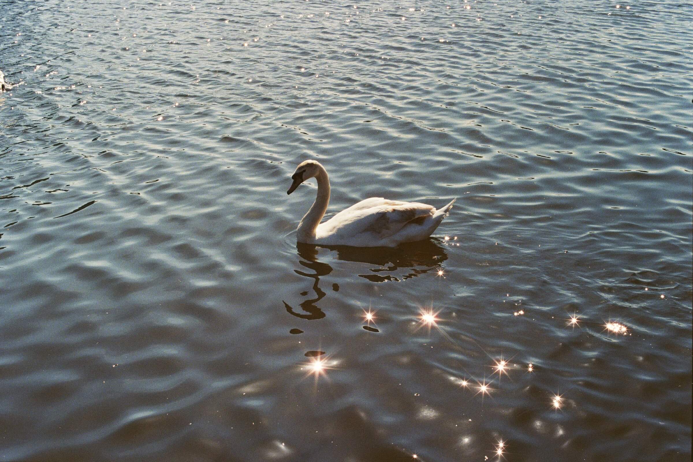 Salford